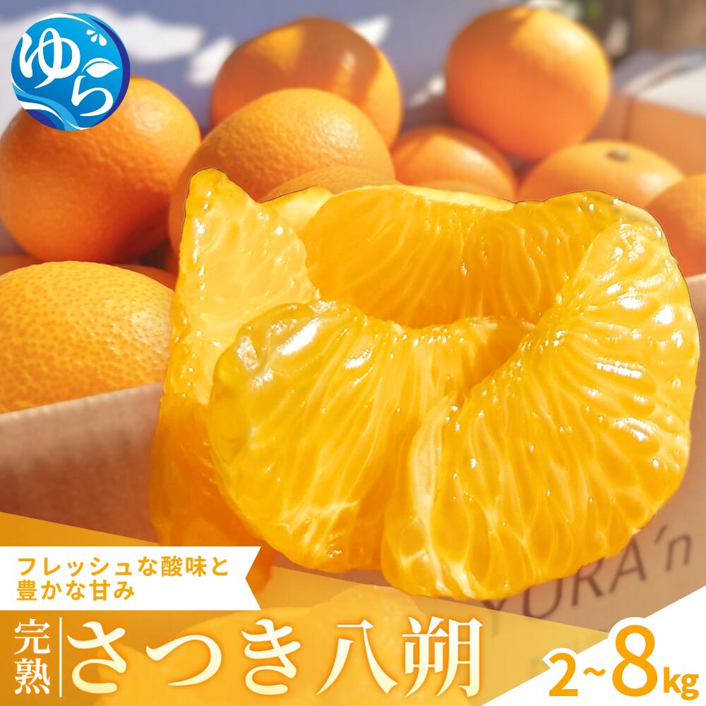 【ふるさと納税】 さつき 八朔 完熟 / はっさく みかん 柑橘 晩柑 和歌山 由良町 甘い 農家直送 数見農園 / 2kg 4kg 8kg ※2026年3月下旬頃から発送予定