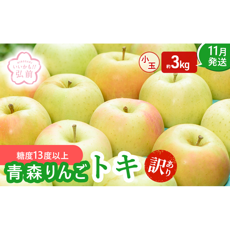 りんご 【 11月発送 】( 糖度13度以上 ) 訳あり トキ 小玉りんご 約 3kg 【 弘前市産 青森りんご 】