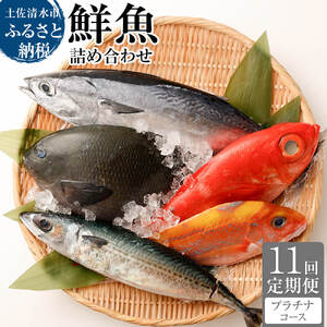 <11回定期便> 季節の鮮魚 おまかせお楽しみセット （プラチナコース）  【J00054】
