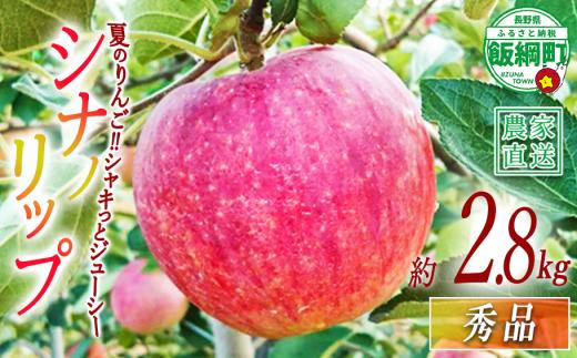りんご シナノリップ 秀 2.8kg 信州りんご☆小山園☆ 沖縄県への配送不可 2026年8月中旬頃から2026年8月下旬頃まで順次発送予定 令和8年度収穫分 エコファーマー認定 小山園 信州 果物 フルーツ リンゴ 林檎 長野 予約 農家直送 長野県 飯綱町 [0687]