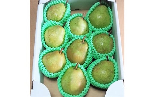 西洋梨（ラ・フランス）３ｋｇ　８～１０玉　特秀品　0042-2505