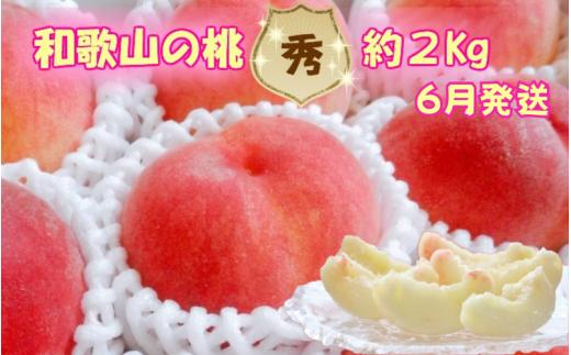 
                  【秀品】和歌山ブランド白桃 約2kg！ 2025年6月発送分【NGT5】【ngt301】
                