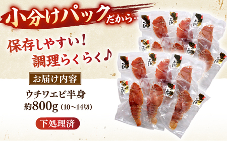 ウチワエビ 半身 約500g(5-8切)【ひばり】[KAA062]/ 長崎 平戸 魚介類 海老 エビ ウチワエビ 季節限定 ご当地 グルメ