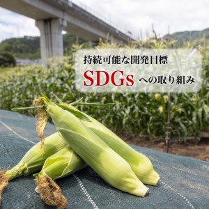 【2025年 先行予約】もぎたて発送！山梨県産 ヤングコーン 30本【栄養たっぷりヒゲ付き！】｜炭野菜 野菜 とうもろこし 間伐材 炭 肥料 SDGs 炭香ファーム　トウモロコシ　とうもろこし　甘い　