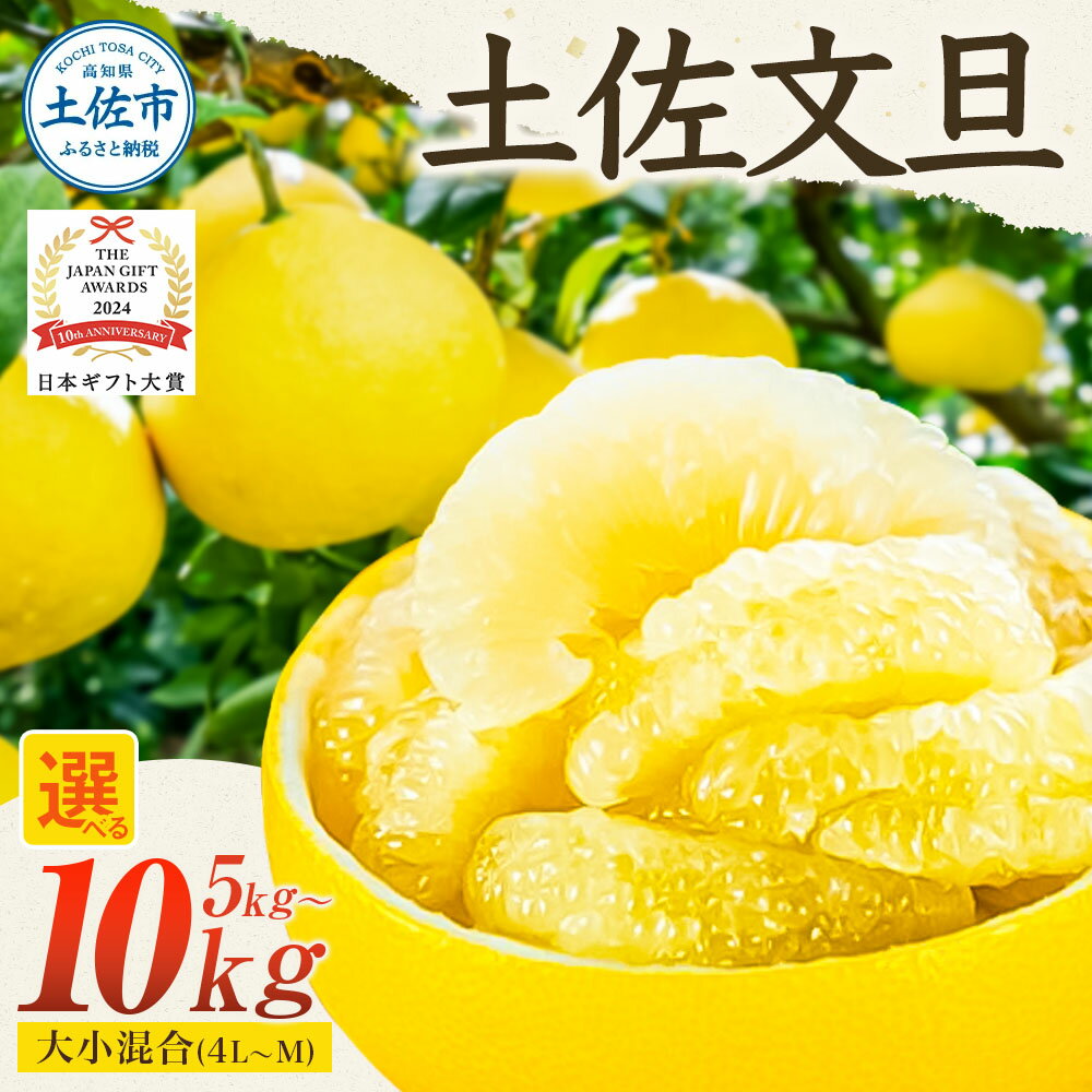 園主こだわりの土佐文旦 選べる内容量 5kg～ 大小混合（4L～Mサイズ） ぶんたん ブンタン 柑橘 みかん フルーツ 果物 家庭用 美味しい お取り寄せ 土佐 高知 やの一果彩 ふるさとのうぜい ふるさと納税 春 旬 故郷納税 高知県 11000円～ 土佐市