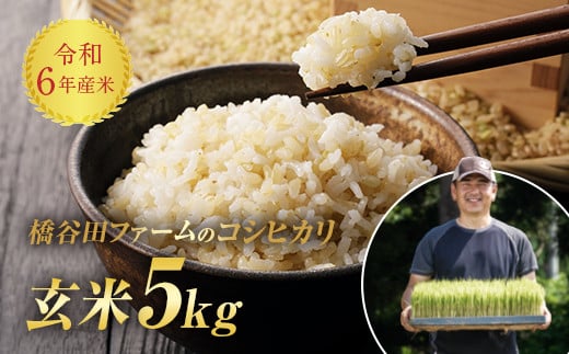 令和6年産 減農薬・有機肥料栽培コシヒカリ 玄米 5kg F4D-1077