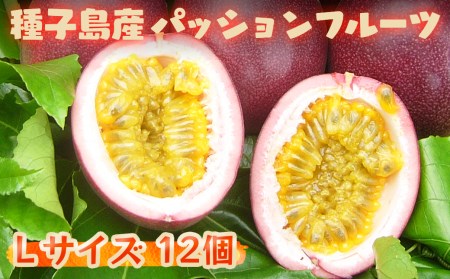【 6月下旬～8月初旬  】 種子島 さご農園 パッションフルーツ サマークイーン (12個)　NFN039【300pt】