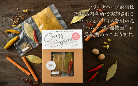 ハーブ講師が作る 教室で人気のカレースパイスセット （5食分 × 2箱） 【アレルゲンフリー】 【スパイス スパイスカレー スパイスセット カレーパウダー おうちカレー カレー粉 香辛料 セット 手作
