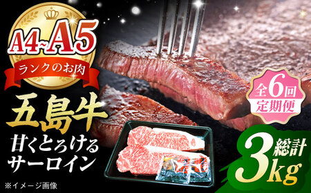 【6回定期便】五島牛 サーロインステーキ500g（250g×2枚） 五島市/肉のマルヒサ[PCV020] 