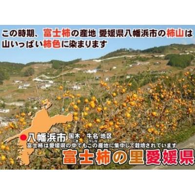 ふるさと納税 八幡浜市 愛媛県産富士柿大玉(5玉〜7玉)と愛媛みかん(早生)5kg詰め合わせセット【D35-5】 |  | 01