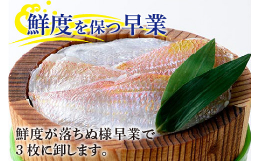 小鯛ささ漬 中樽 130g×2樽   計260g  【配送不可地域：離島】  [BFAA042] 