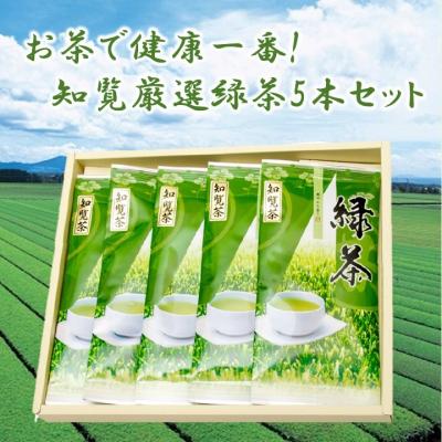ふるさと納税 南九州市 お茶で健康一番!知覧厳選緑茶5本セット