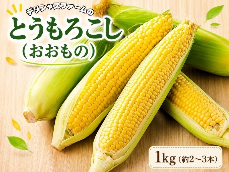 
                  とうもろこし【おおもの】1kg（2～3本前後） / とうもろこし 野菜 トウモロコシ 【delf058】
                