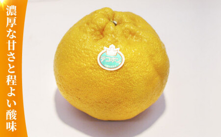 【先行予約】デコポン 約2kg【かきやま果実】 でこぽん 果物 フルーツ 柑橘 熊本県産デコポン [ZCJ001]