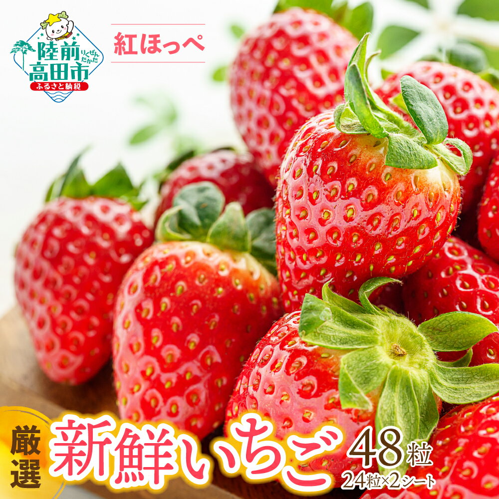 【ふるさと納税】厳選 いちご 紅ほっぺ 24粒 × 2シート入り [ イチゴ 苺 ストロベリー 新鮮 果物 フルーツ 旬 数量限定 小分け 人気 スイーツ お菓子 ケーキ ジャム 採れたて 産地直送 ギフト 贈答品 プレゼント 岩手 陸前高田 Hsfarm ]