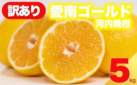 訳あり 河内晩柑 5kg 愛南ゴールド 河内晩柑