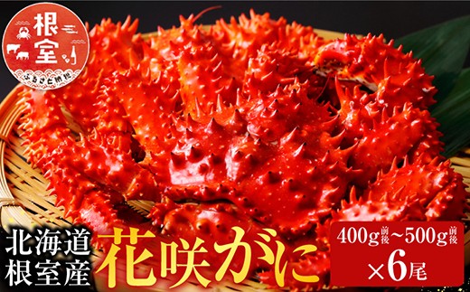 
                  C-70031 【北海道根室産】花咲かに400g前後～500g前後×6尾
                