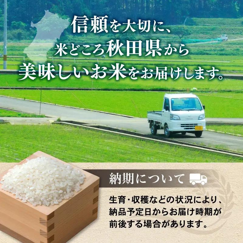 【先行予約 定期便8か月】白米 ブレンド米 10kg  令和8年度産 白米