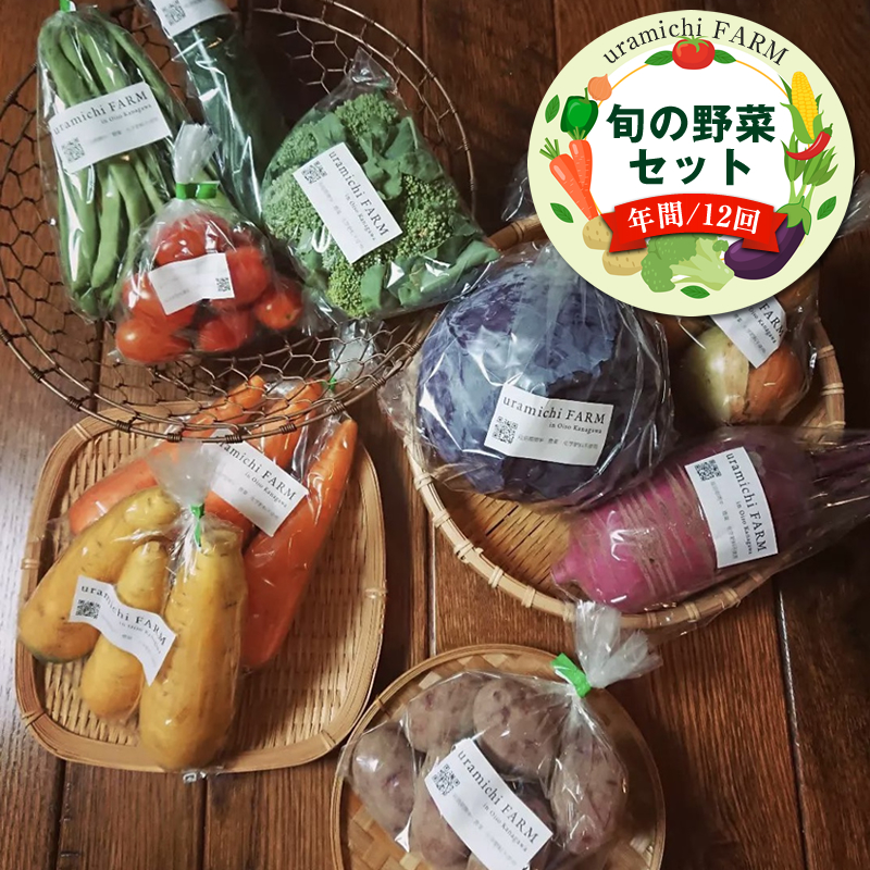 旬の野菜セット（年間/12回）【 神奈川県 大磯町 季節野菜セット 新鮮野菜】