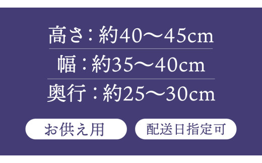 【配送日指定可】【 定期便 /6ヶ月連続】季節の お供え用 アレンジメントフラワー 仏花 お盆 お供え お悔やみ 仏事 法事 命日 お盆 秋彼岸 春彼岸 正月 生花 [CY011sa]