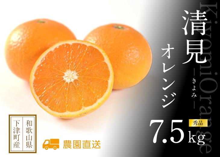 清見オレンジ 7.5kg 3月中旬から4月下旬に和歌山県海南市より直送 /和歌山県 海南市  まごころ産直みかん［Mg63］