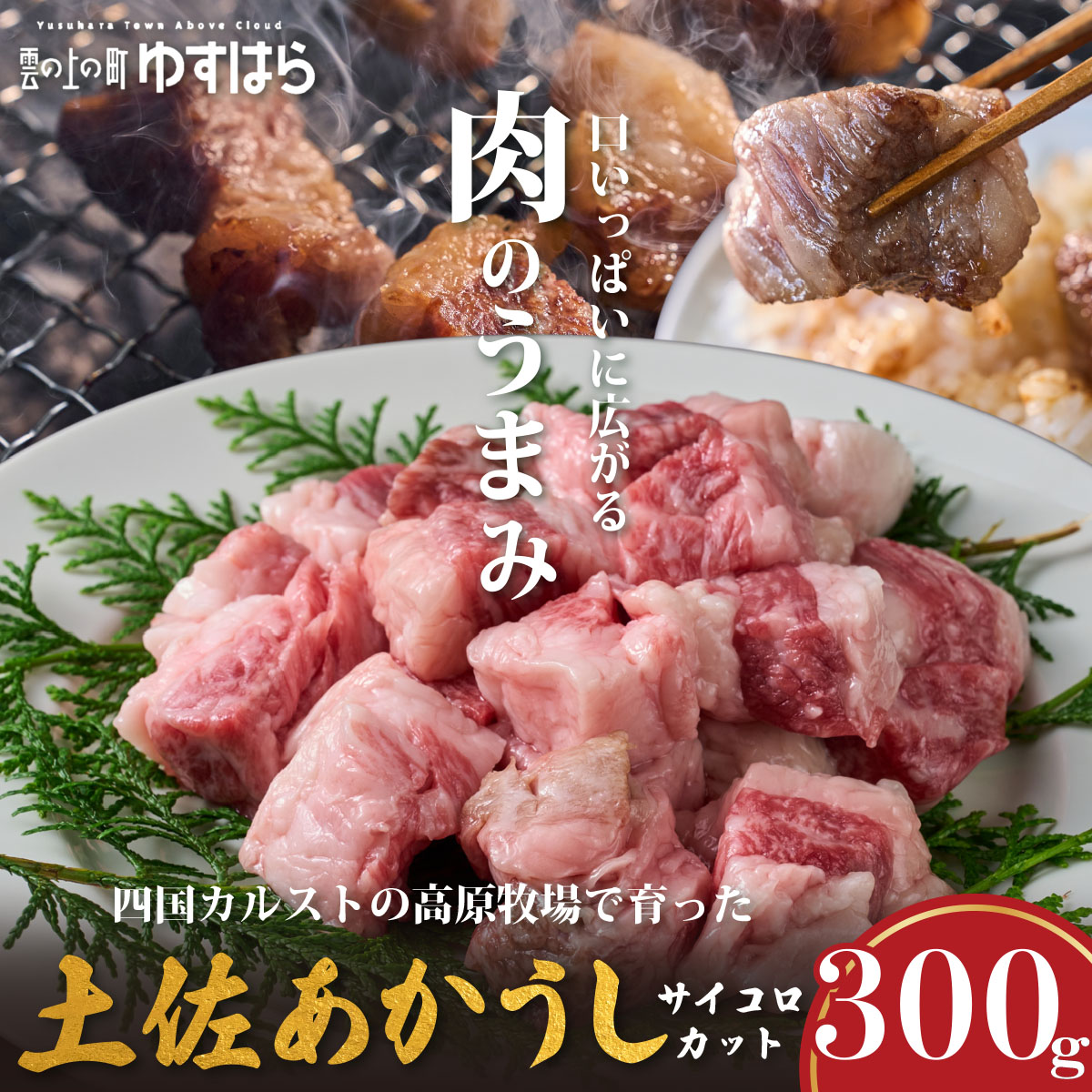 低温でも脂身がとろける土佐あかうしサイコロカット 300g　牛肉 和牛 国産 BBQ オレイン酸 高知県産
