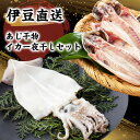 【ふるさと納税】干物 静岡 伊豆直送 あじ 5尾 イカ 一夜干し 1尾 詰め合わせ セット S4 アジ 鯵 スルメイカ するめいか 烏賊 ひもの 魚 海鮮 海産物 魚介 魚介類 惣菜 おかず お弁当 水産加工品 伊豆 国産 冷凍　【 河津町 】