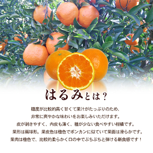 はるみ 小豆島はるみみかん 柑橘 フルーツ はるみ【約2kg】