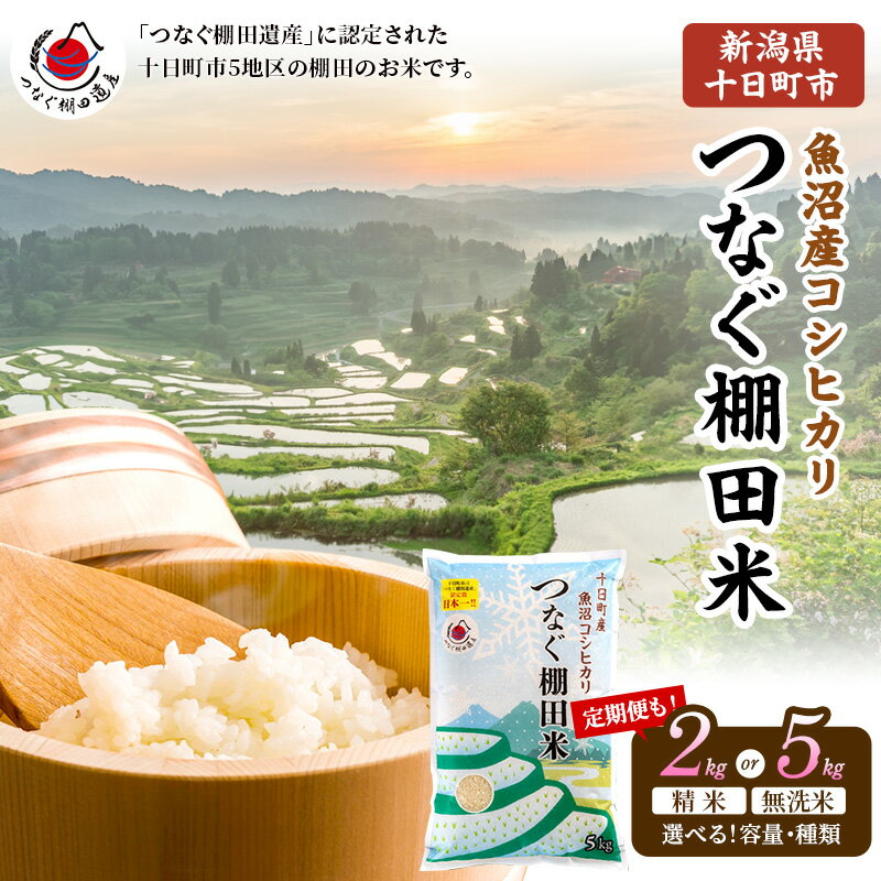 【ふるさと納税】令和7年産 令和8年産 先行予約 新潟県十日町市魚沼産コシヒカリ「つなぐ棚田米」 選べる 精米 無洗米 2kg 5kg 定期便　お届け：2026年10月以降、毎月15日にお届けさせていただきます。