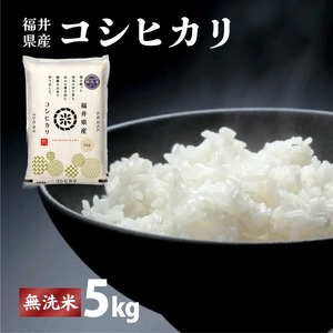 福井県産 コシヒカリ 無洗米 5kg（5kg×1）＜令和7年産 新米 / 数量限定 ＞【米 コメ お米 精米 白米 無洗米 玄米 ご飯 飯 こしひかり ブランド米 国産】[095-a014]