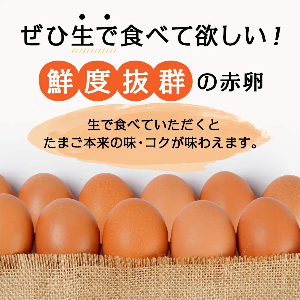 星空が綺麗な町より～「めぐみのたまご」(LまたはMサイズ)10kg〔16-6801〕_(都城市) 赤卵 めぐみのたまご 10kg Lサイズ Mサイズ たまごかけご飯