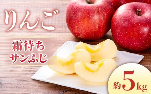 【2026年2月順次発送】りんご 霜待ちふじ 約5kg（10～20玉入り）