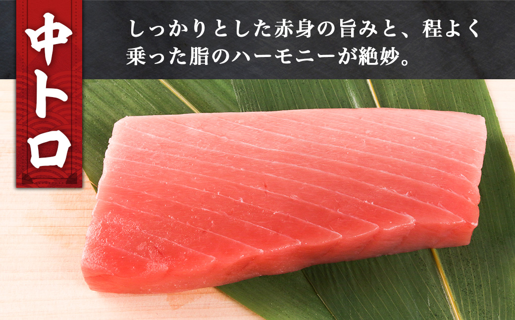 本マグロ 中トロ 410g 冷凍／本マグロ 本鮪 マグロ まぐろ クロマグロ 専門店 ブランド 切り落とし 切り落し 不揃い 規格外 鮪 刺身 刺し身 お刺身 三重県 伊勢志摩 南伊勢町 10000円