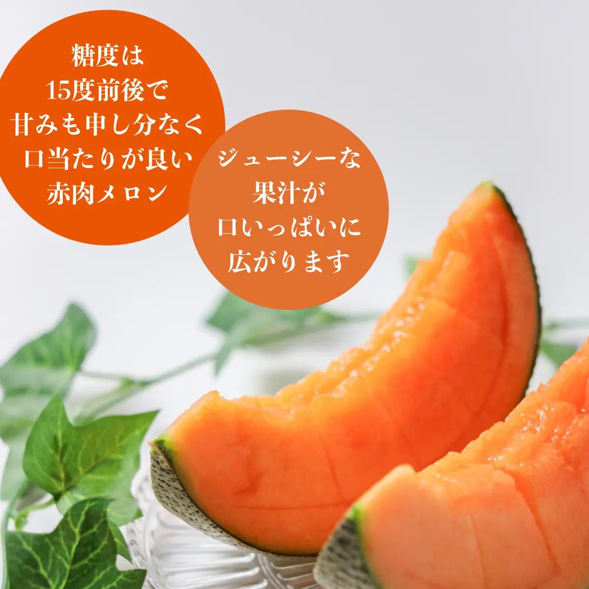＜2026年8月お届け＞赤肉メロン2玉ととうもろこし（恵味）11～13本のセット SBTP015