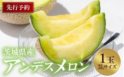 
                  738 アンデスメロン 3L×1玉 先行予約 茨城県茨城町産 メロン【小島 正幸】
                