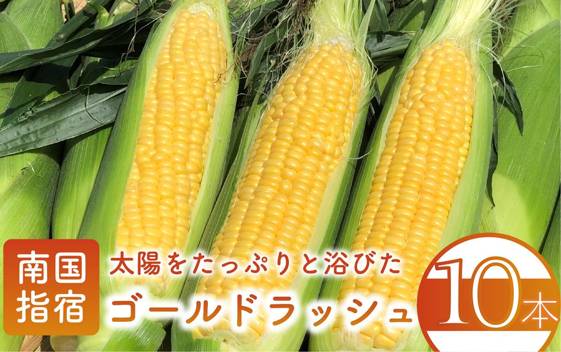 【 とうもろこし 】指宿産 ゴールドラッシュ 10本(わくわくファームたがわ/IB069-001) とうもろこし コーン ゴールド 国産 鹿児島県産 野菜 夏野菜 旬 夏 トウモロコシ 指宿 鹿児島 農家直送 産地直送 産直