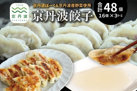 京丹波餃子 48個（16個入り×3ケース） 6人前 京丹波ぽーく ぎょうざ ギョウザ 塩ポン酢付き 京丹波ラディッシュ 京丹波産野菜 国産 豚肉 ポーク オリジナル ブランド ご当地グルメ お取り寄せ ※北海道・沖縄・その他離島は配送不可 [012KT009]