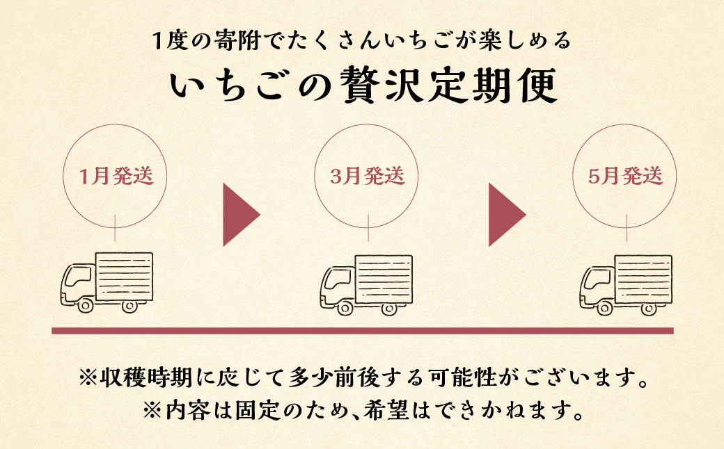 【定期便3回】【2027年1月より発送開始】 しあわせ苺  品種おまかせ 1kg ( 250g × 4p ) 自宅用 サイズ バラバラ 訳あり 訳アリ 含む 農園直送 フルーツ 苺 イチゴ 人気 本巣
