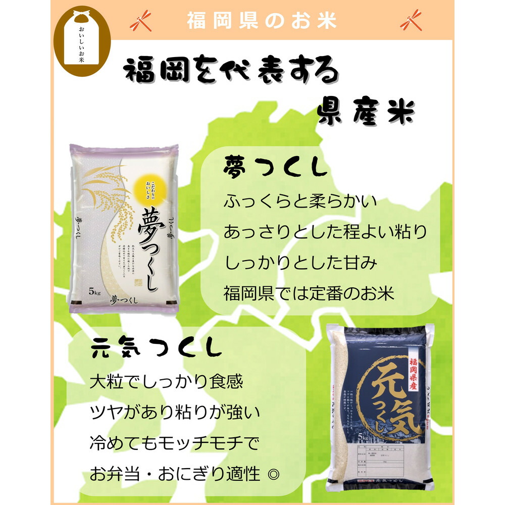 福岡県産 元気つくし 10kg (5kg×2袋) (令和7年産)