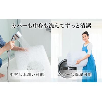 ふるさと納税 幸田町 【期間限定 幸田町大感謝祭】エアウィーヴ ピロー　 ソフト |  | 01