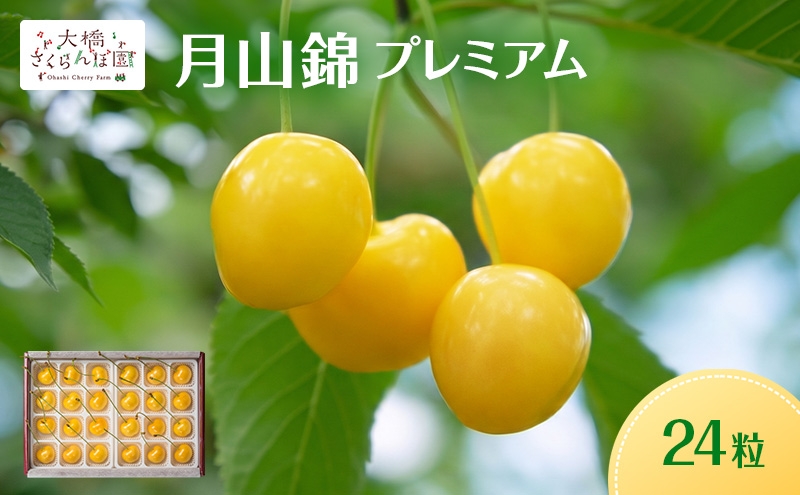 
                  【先行予約】さくらんぼ 月山錦 プレミアム 24粒 最高級 特大粒 農林水産大臣賞受賞 大橋さくらんぼ園 フルーツ 果物 ギフト 贈り物 北海道 芦別市 送料無料 [№5342-1068]
                