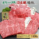 【ふるさと納税】オリーブ牛 讃玄豚 コラボ焼肉セット450g 液体凍結 黒毛和牛 プレミアム黒毛和牛 讃岐牛 オリーブ牛カルビ オリーブ牛モモ 讃玄豚肩ロース 各150g 冷凍 送料無料 お取り寄せ お取り寄せグルメ 急速冷凍 15000円