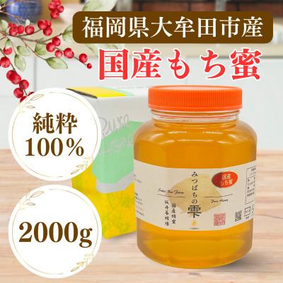 ふるさと納税 大牟田市 みつばちの雫　国産もち蜂蜜　2000g | 