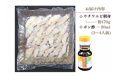 ウチワエビ 刺身 170g(ポン酢付)【ひばり】[KAA061]/ 長崎 平戸 魚介類 海老 エビ ウチワエビ 季節限定 ご当地 グルメ 刺身 しゃぶしゃぶ