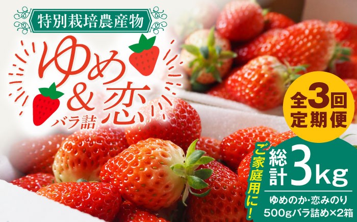 
                  いちご 【全3回定期便】【先行予約】 ゆめのか・恋みのり いちご 1kg（2種ミックス）【2027年2月以降順次発送】 いちご 苺 イチゴ 果物 フルーツ いちご 甘い strawberry イチゴ 生いちご 長崎県 壱岐市【蒼花】 [JEO004] お取り寄せいちご ゆめのか 甘い 赤い イチゴ 産地直送 こだわりいちご フレッシュ 家庭用 定期便 自宅用 くだもの 旬 新鮮 いちご
                
