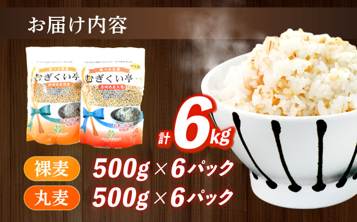 【最速発送】むぎくい亭(丸麦500gｘ6・裸麦500gｘ6) / 麦 丸麦 はだか麦 麦味噌 雑穀 雑穀米 / 諫早市 / 有限会社伊東精麦  [AHBU002] スピード 最短 最速 発送
