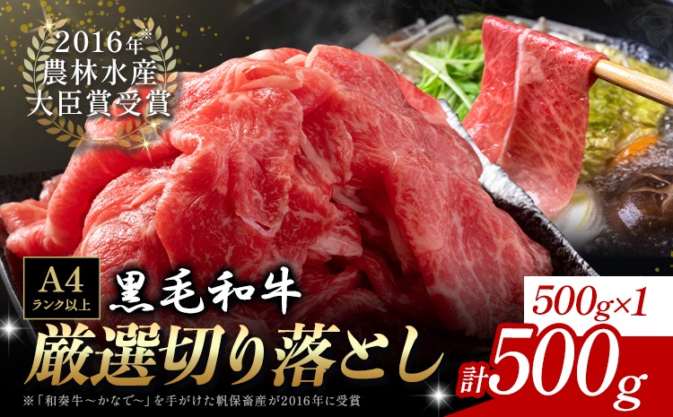 厳選 くまもと黒毛和牛 切り落とし 500g《30日以内に出荷予定(土日祝除く)》熊本県 大津町 和牛焼肉LIEBE くまもと黒毛和牛 切り落とし 冷凍 リーベ---so_fliekiri_30d_r8_11000_500g---
