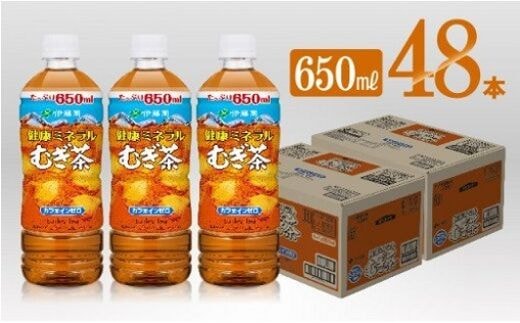 
										
										伊藤園 健康ミネラル むぎ茶 650ml×24本×2ケースPET 【 飲料類 水分補給 ソフトドリンク お茶 麦茶 ペットボトル 】 宮崎県川南町 [D07358]
									