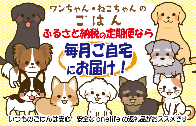 【定期便】国産 無添加 ドッグフード「いのちのごはん」1kg×全6回【毎月配送コース】 099Z175_イメージ5