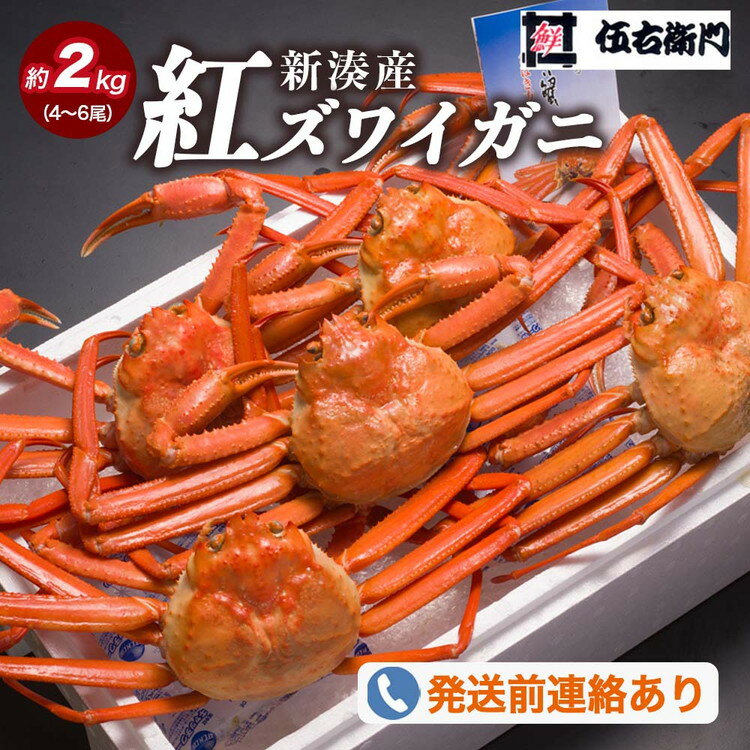 【ふるさと納税】【伍右衛門】新湊産紅ズワイガニ約2kg（4～6尾） ※2026年9月～発送 ※発送まで1か月以上かかる場合があります。